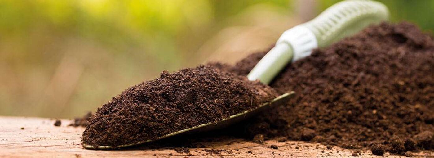 Wissenswertes über Humus