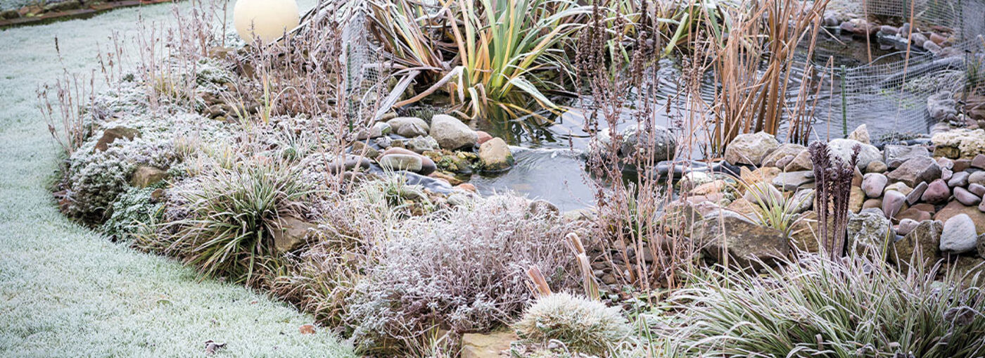 Winter Gartenteich 1