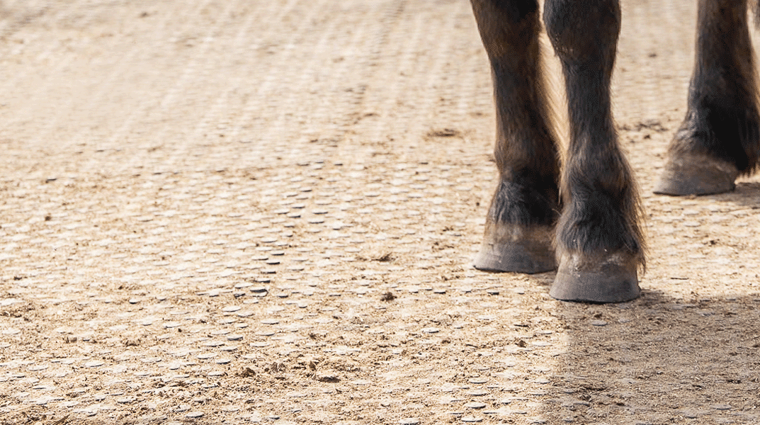 Reitplatzmatten gelocht Anwendung Paddock 1