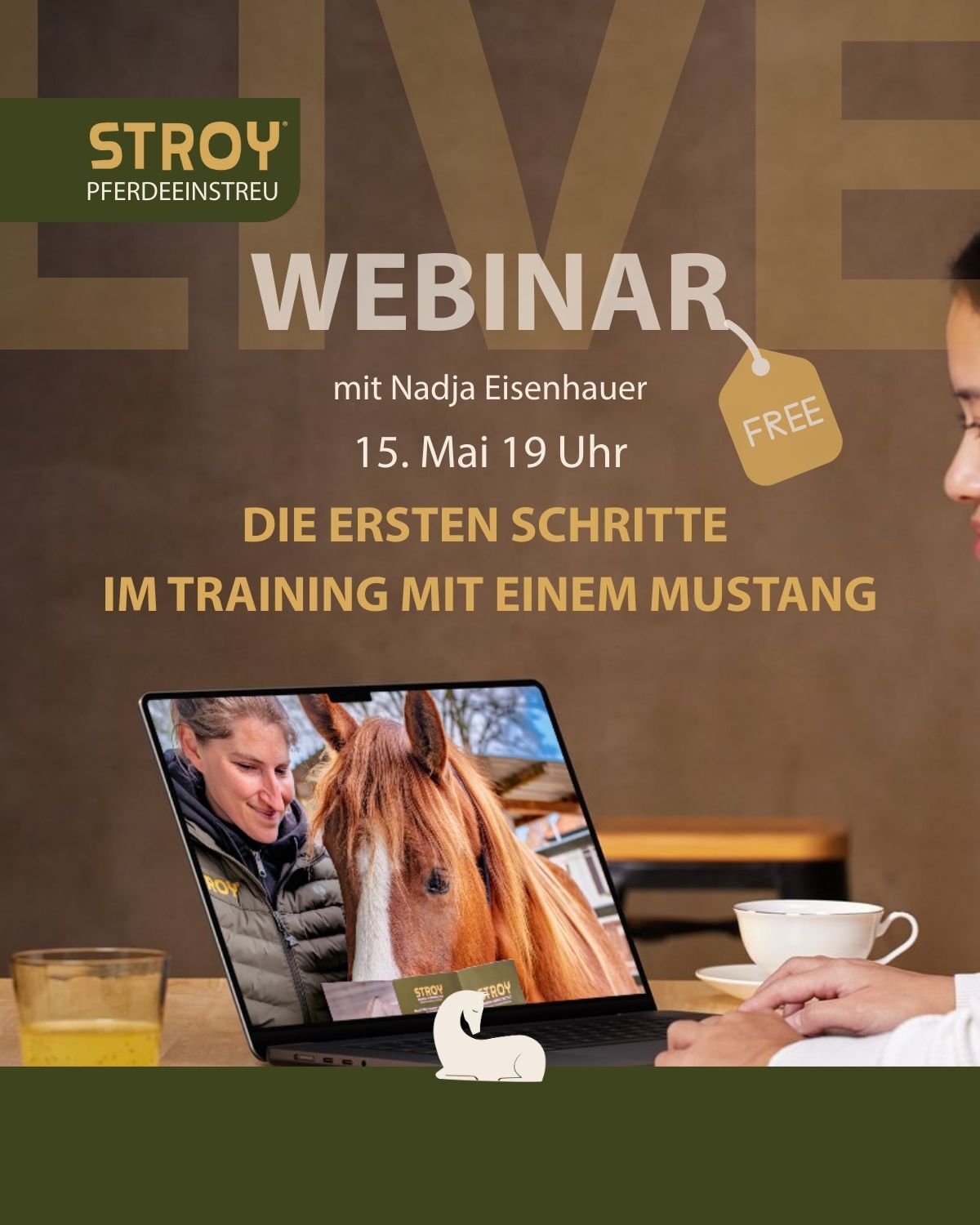 Webinar 1 1