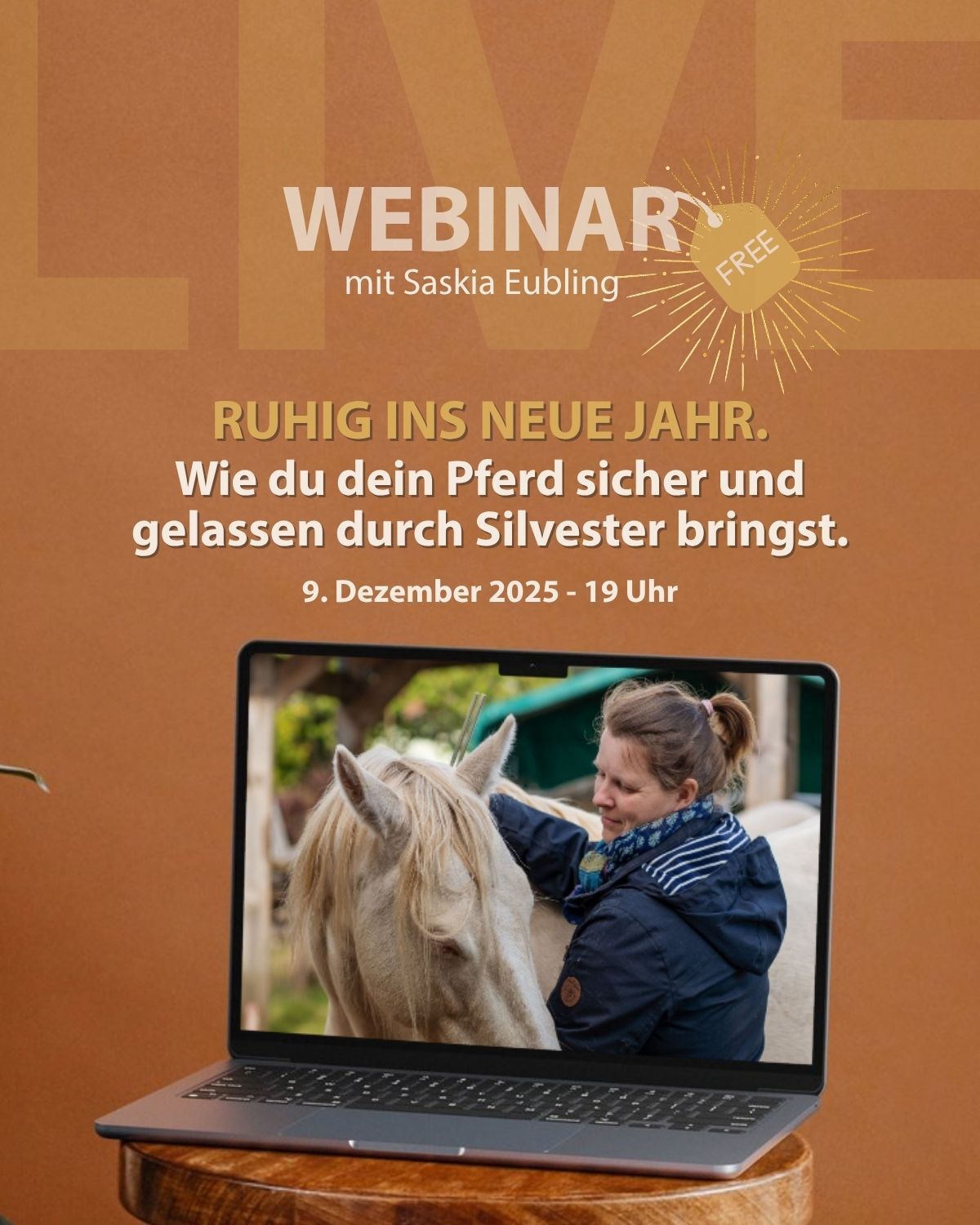 STROY-Webinar-Saskia-Eubling-Silvester