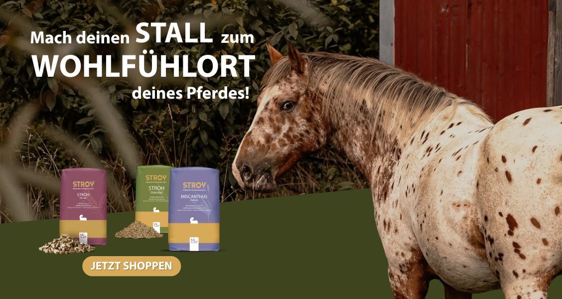Wohlfühlort Pferd