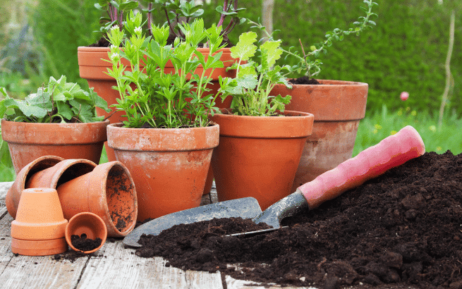 Ein Gartenset mit Blumenerde, Gartengeräten und Blumentöpfen auf einem Tisch. Im Hintergrund blühende Pflanzen, die auf die Verwendung von hochwertiger Blumenerde für Balkonpflanzen und die richtige Pflanzenpflege hinweisen.