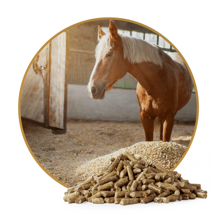 Kategoriebild Einstreu Pellets