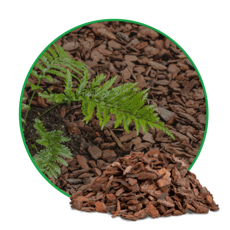 Kategoriebild Rindenmulch