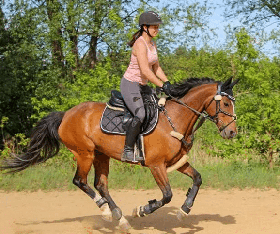 Indira Markenbotschafter