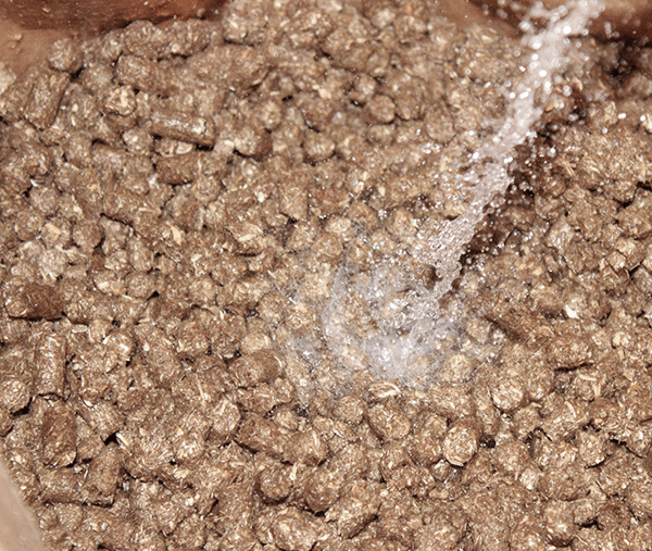 Anwendung_Miscanthus_Vorbereitung