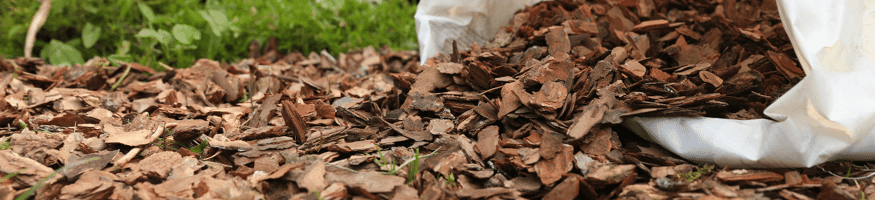 Frischer Rindenmulch wird aus einem Sack auf dem Boden verteilt, um als Mulch für den Garten zu dienen.