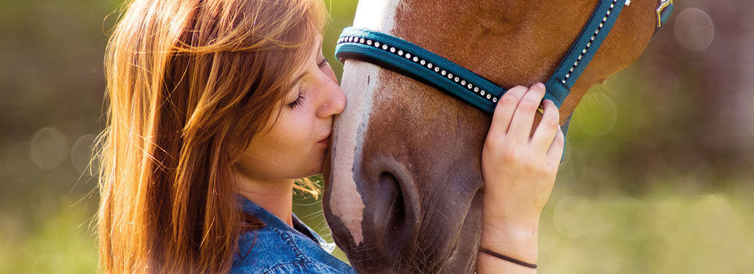 Pferde als tierische Therapeuten