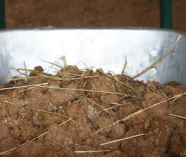 Anwendung_Miscanthus_Entsorgen