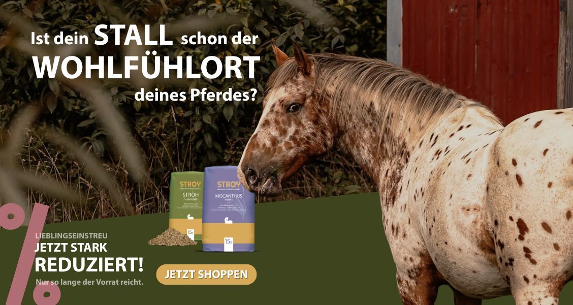 Banner für STROY Aktions Wohlfuhlstall