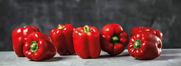 Paprika-Tomate-fullsize1