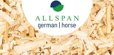 Allspan German Horse Header