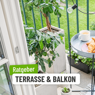 Terrasse & Balkon